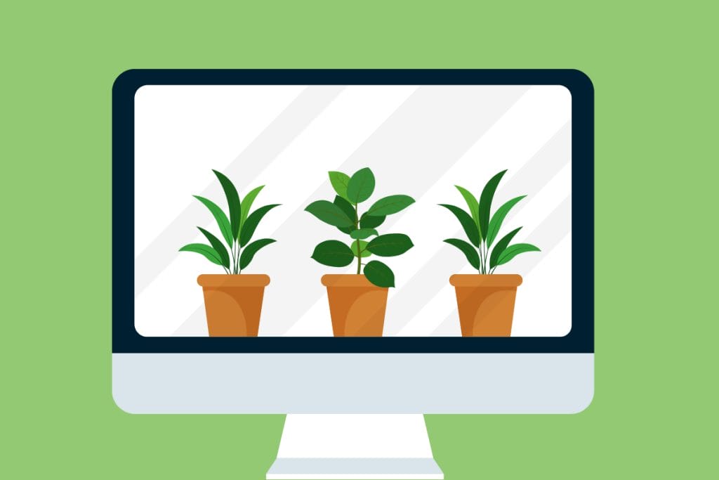 vendere piante online